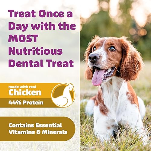 Miniatura 5 de Yummy Combs Golosinas dentales para perros  Aprobado por veterinario VOHC  Deliciosas golosinas para perros para limpieza de dientes  Forma para
