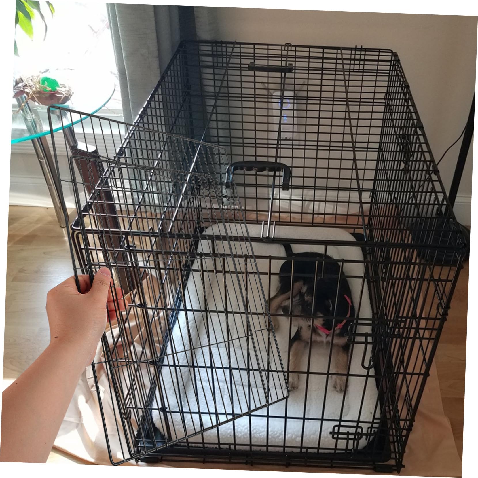 Rete per con Apertura Accessorio Versatile per Gabbie e Recinti Sicurezza per e Grandi Animali Facile da Montare e Compatibile con Box Espandibili