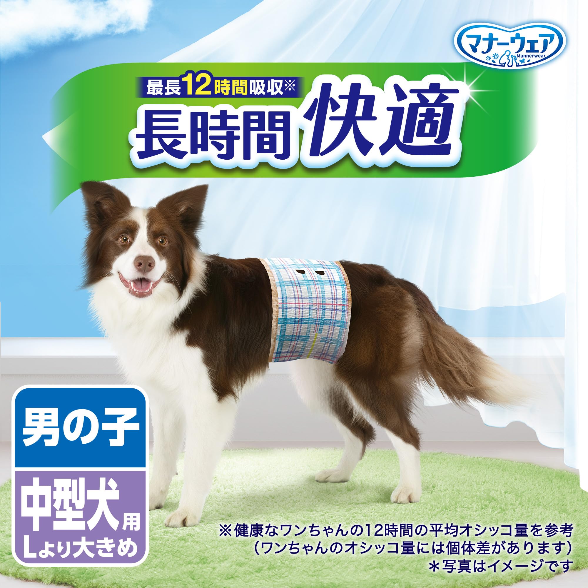 Amazon | マナーウェア 犬用おむつ 長時間快適オムツ 男の子用 Lより