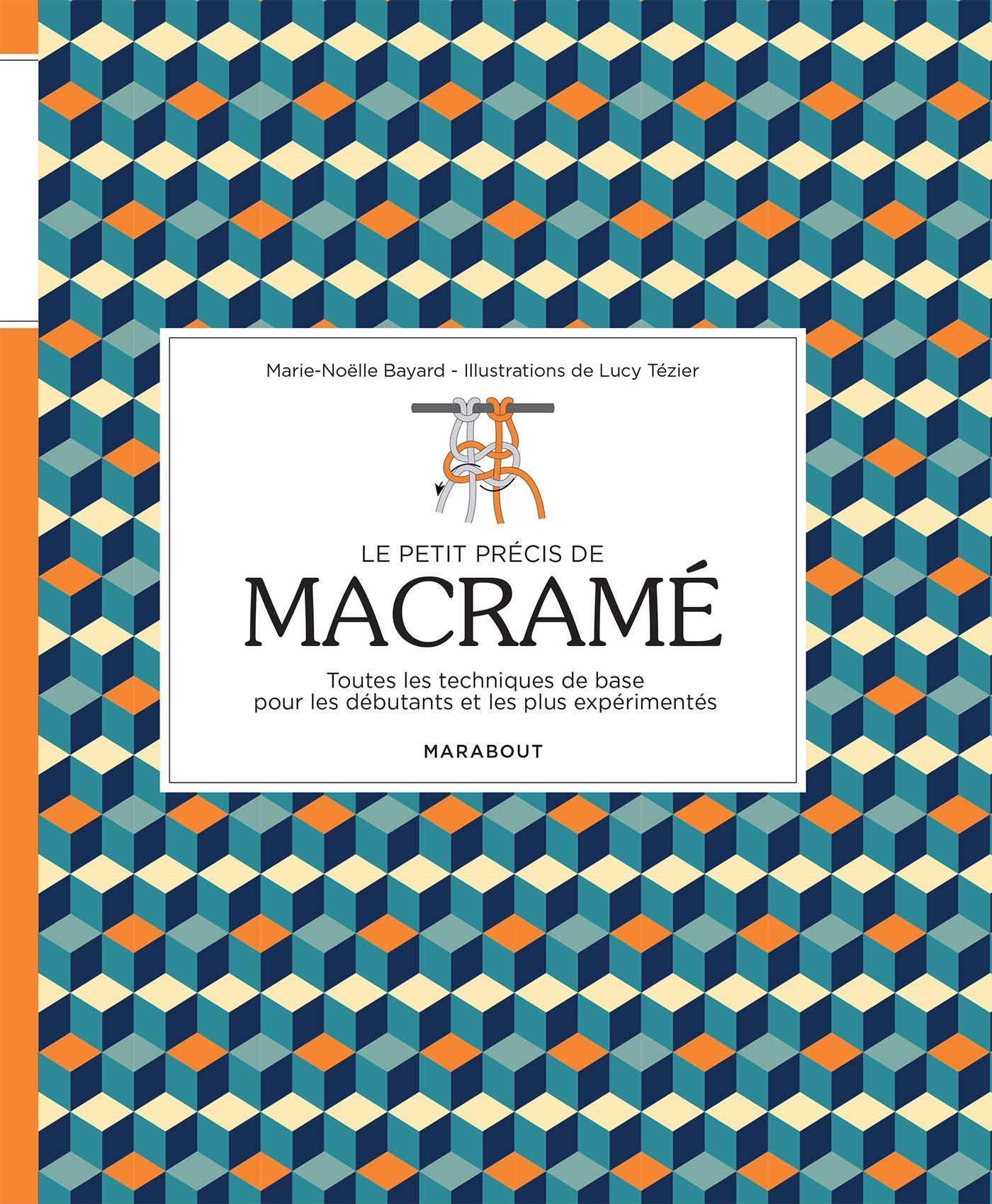 Le petit précis de macramé: 31622