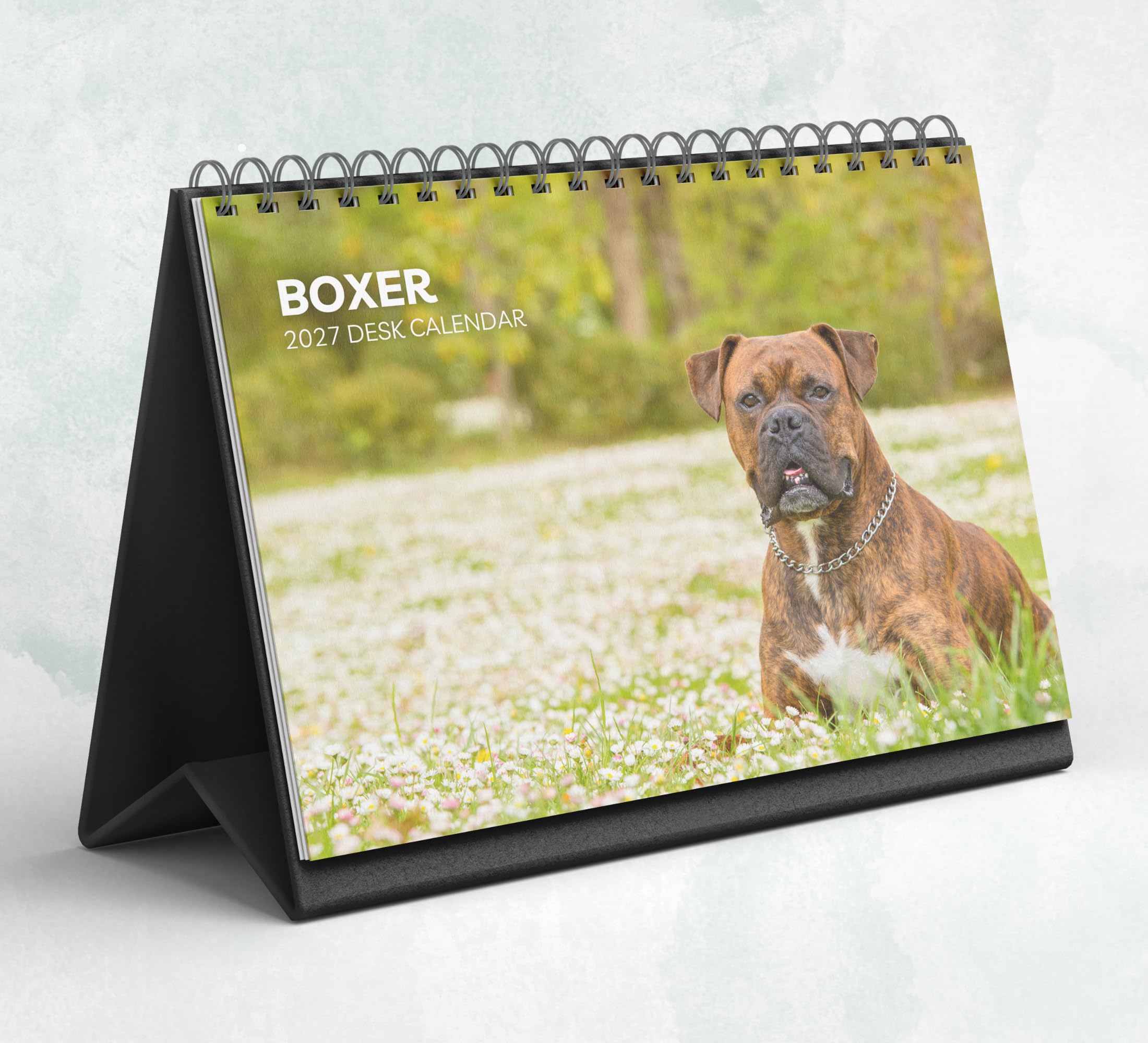 Boxer Dog Desk Calendar 2027-2028: Standing Flip Desktop Calendar with Thick Paper (15.25cm x 22cm - similar to A5)