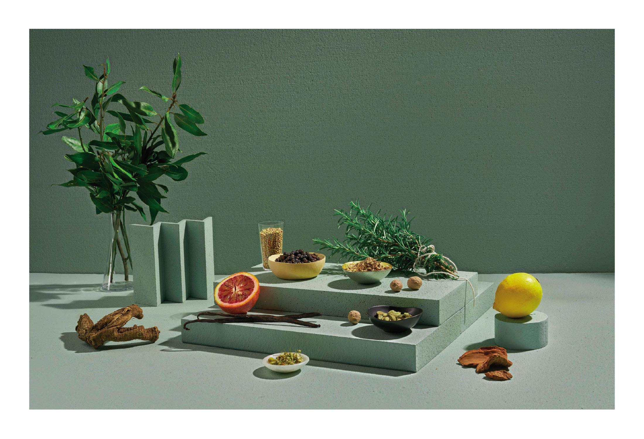 El libro del vermut: Un Barman Y Un Enólogo Celebran El Aperitivo Más Bebido del Mundo (BEBIDAS)