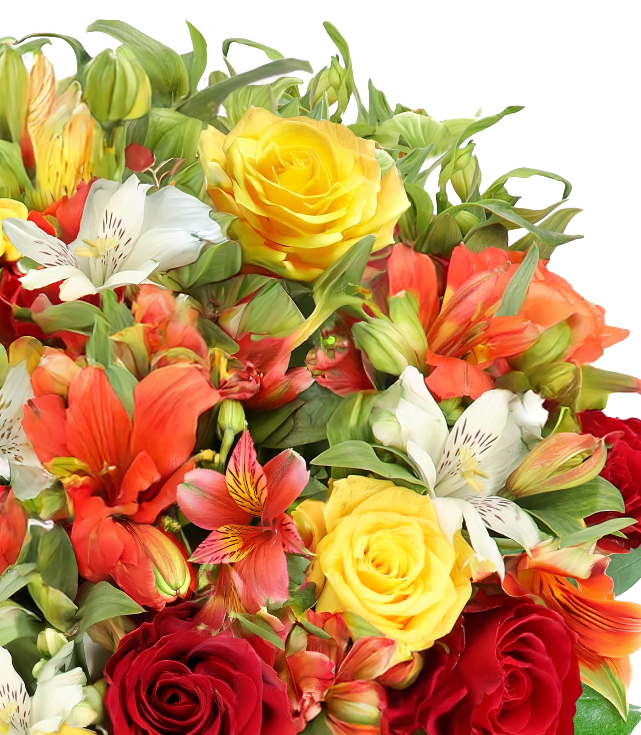 Blumenstrauß "Sunset", Bunte Inkalilien & Rosen in Weiß, Orange & Rot, bis zu 40 Blüten, 40-50cm Länge, 7-Tage-Frischegarantie, Qualität vom Floristen, Ideales Blumengeschenk, Schneller Blumenversand