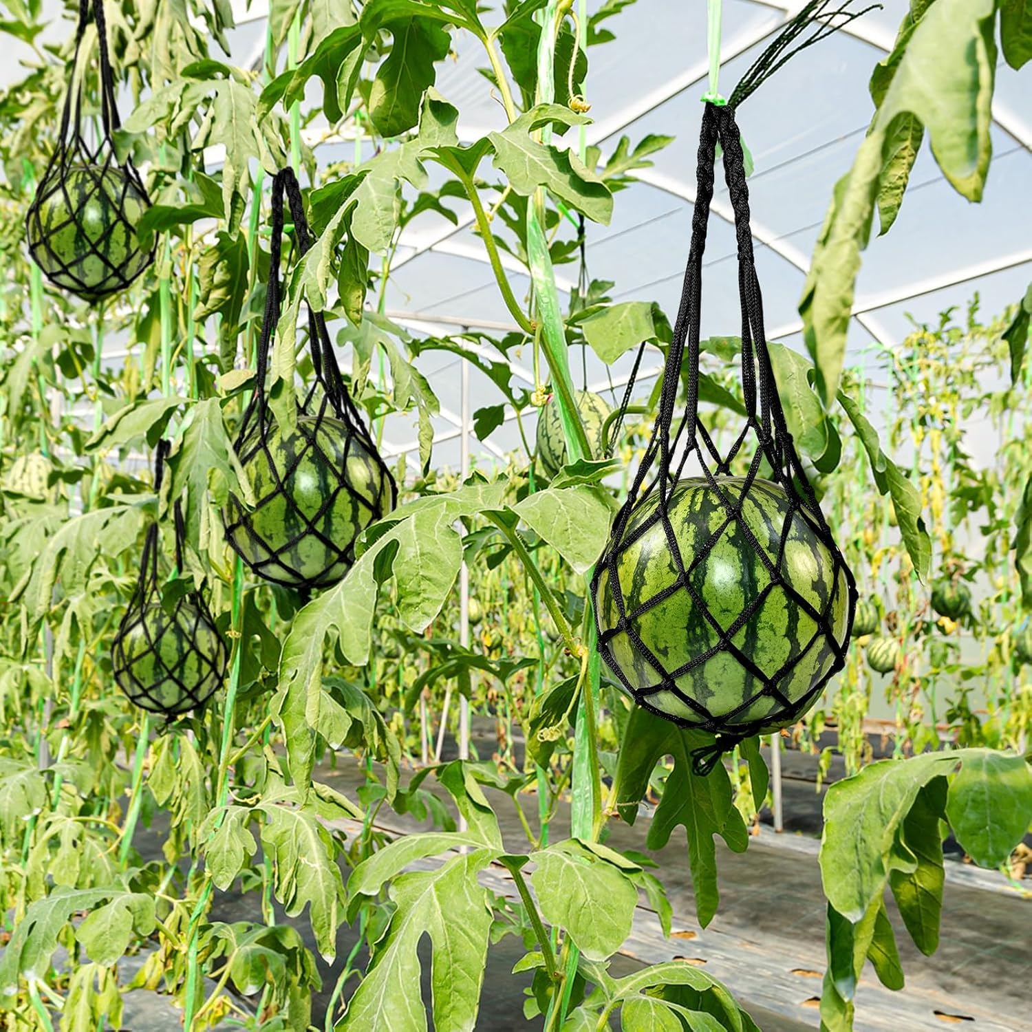 Melonen-Hängematte, Wassermelonennetze, Melonen-Wiege für den Garten, um ein Herunterfallen zu verhindern, robuste Wassermelonen-Netztasche für den Anbau von Cantaloupe Kürbis im vertikalen Garten Garten