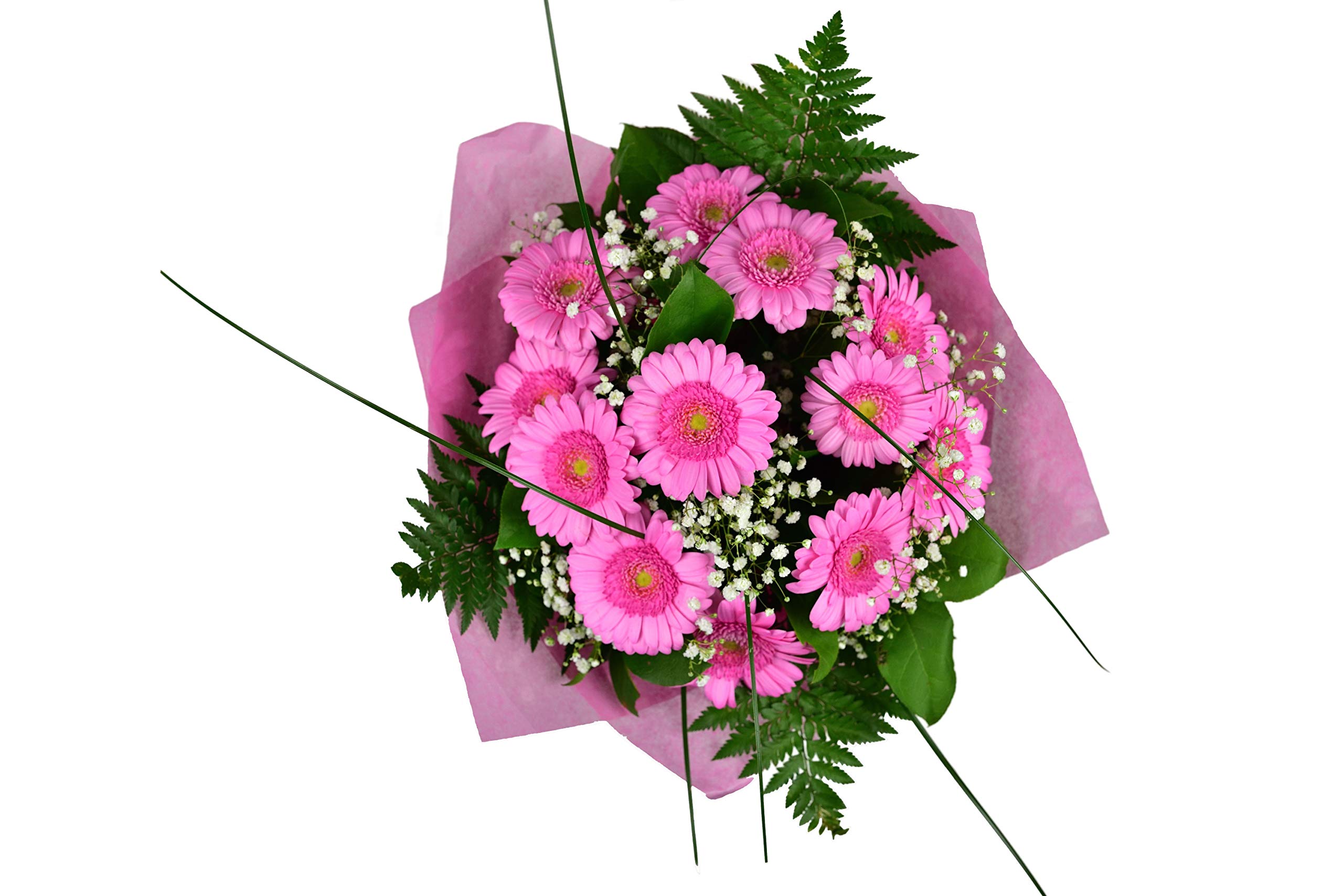 Morning Flowers Fresh Pink Flowers - Birthday, Thank You, Get Well Soon, Congratulation - Eco Friendly, Biodegradable - Next Day Free UK Delivery