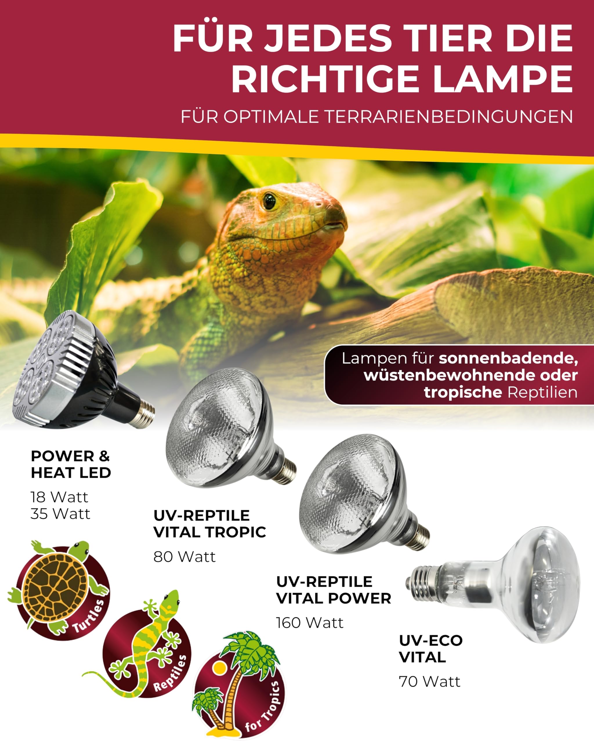 HOBBY Terraristik Power & Heat LED Strahler 35 W Terrarium Wärmestrahler LED-Lampe Wärmelampe Reptilien Amphibien