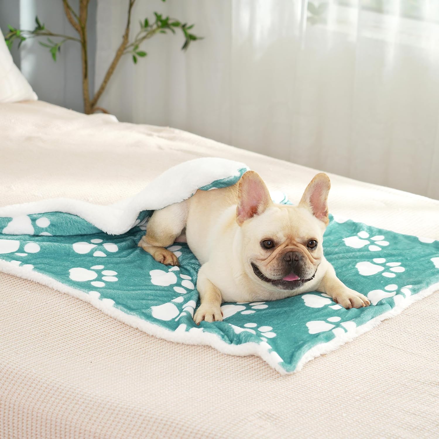 review Dog Blanket, Puppy Blanket for Small Dogs Cats, Washable Thick Soft Dog Blankets with Fluffy Premium Pet Blanket Flannel, Dog Paw Printed Blankets, for Pet Bed/Crate/Cat Bag, Green