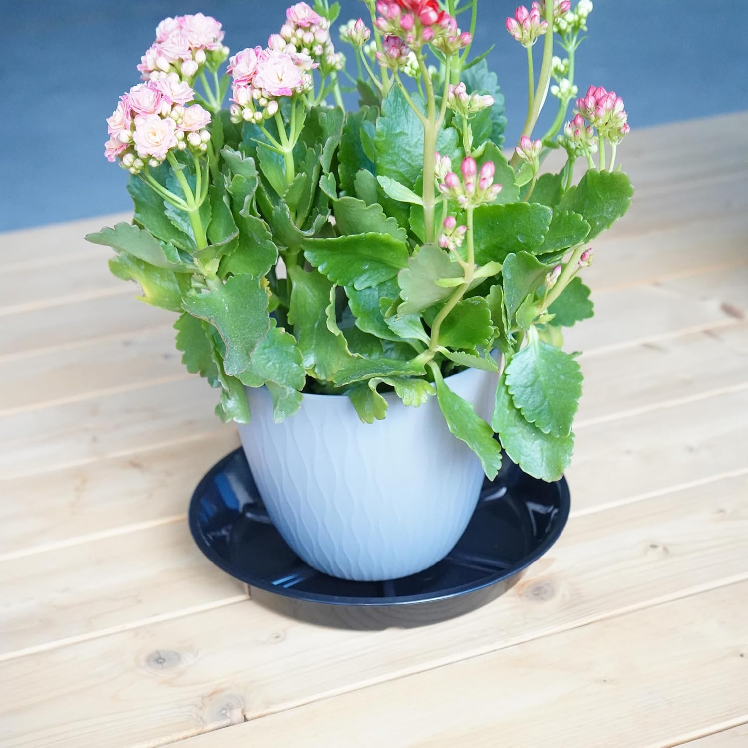 Plant Saucer Pot Tray 14 inch, 4 Packs Flower Planter Saucers and Drip Trays, Heavy Duty Round Plastic Flower Plant Dish Pant Plate to Catch Water for Indoor & Outdoor, Black