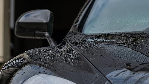 Miniatura 6 de Car Gods Cera de carnauba Ultimum Perfectum, 17 onzas líquidas, brillo de vehículo de alto brillo que elimina defectos menores de superficie,