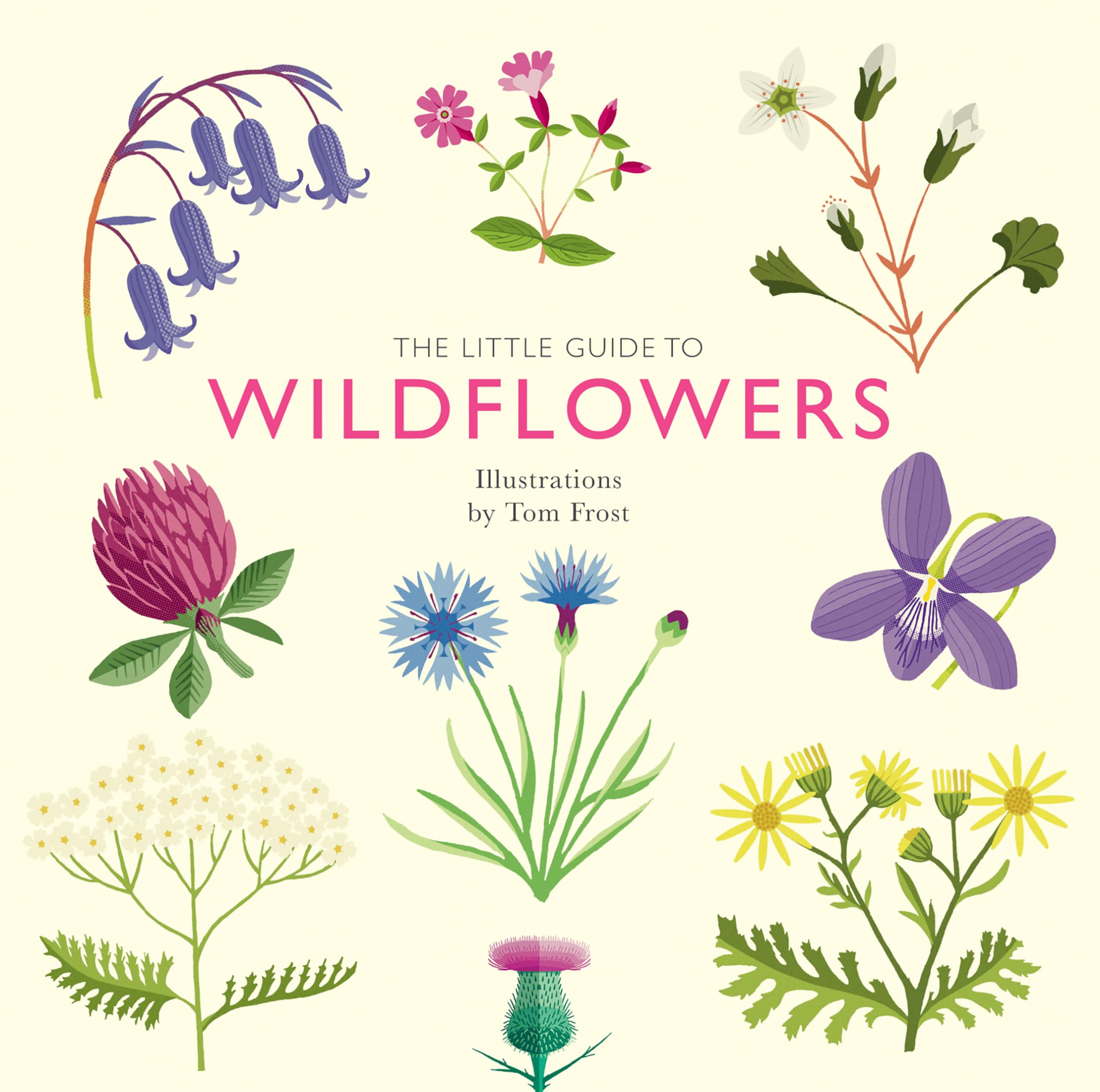 The Little Guide to Wildflowers: Davies, Alison, Frost, Tom