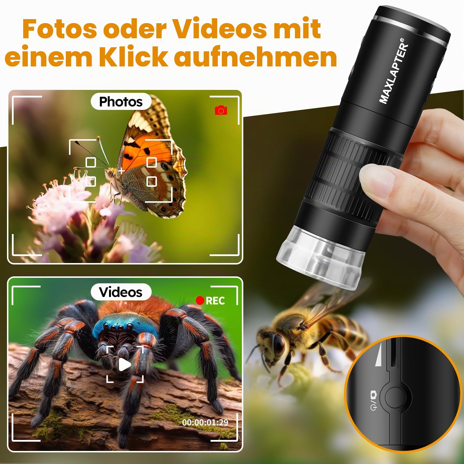 MAXLAPTER WiFi Digital Mikroskop 50X-1000X für Erwachsene und Kinder | Handmikroskop Handy USB und WiFi Verbindung 8 LED Leuchten 1920P Foto Video Akku für iPhone Android iPad Tablet Windows Mac