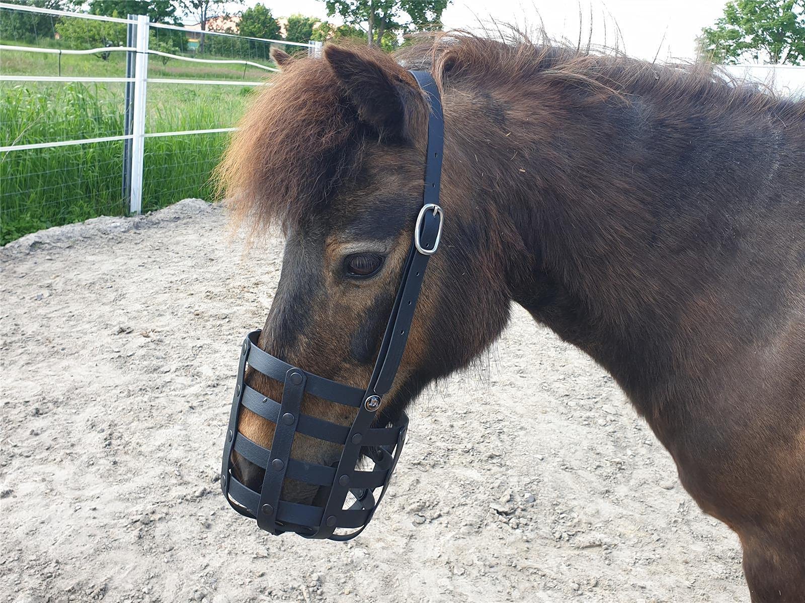 Fressbremse Strong Schwere Warmblüter und Kaltblüter mit Kehlriemen und Standartbodenplatte
