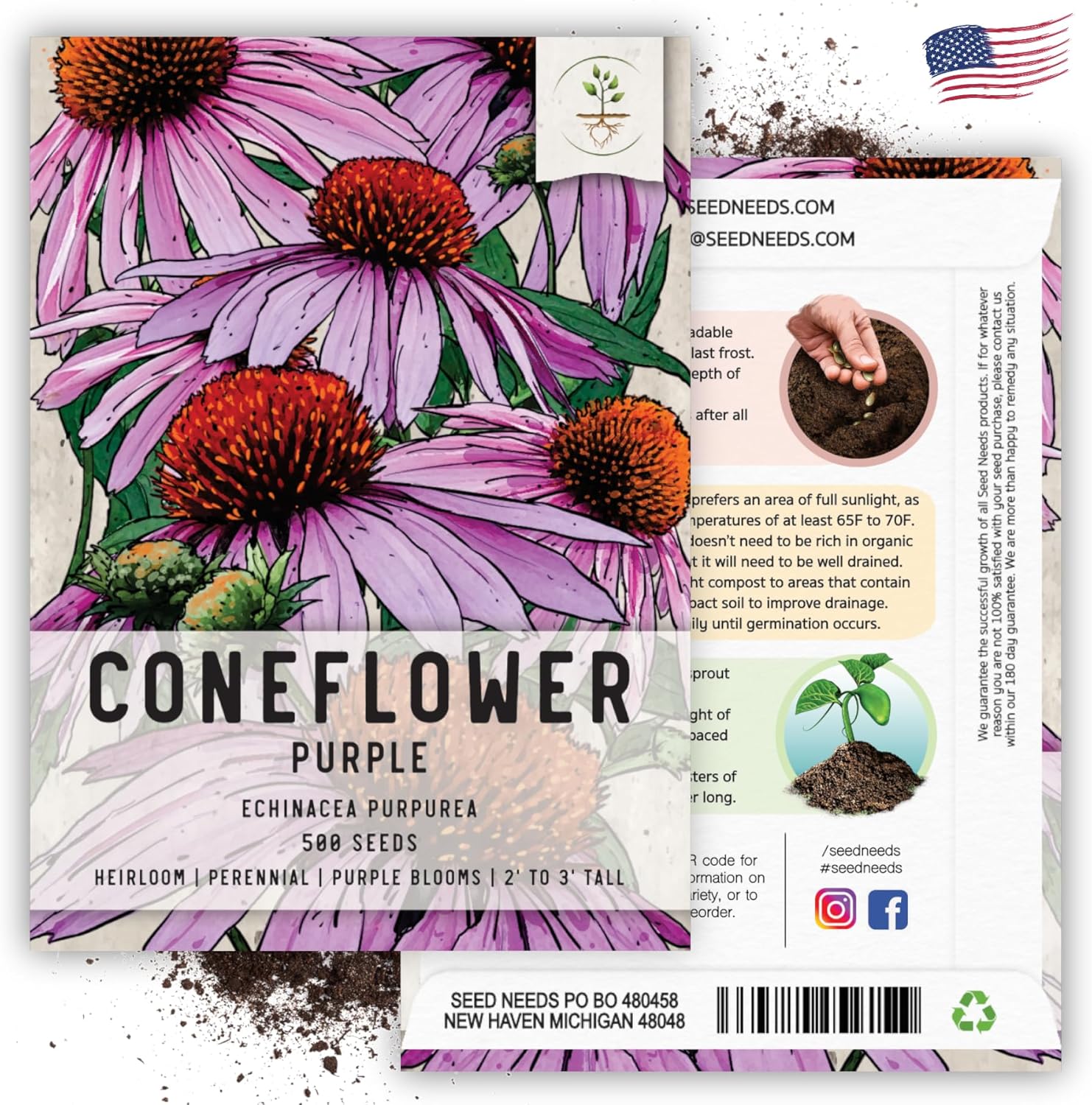 Seed Needs, Purple Coneflower Seeds - 500 Heirloom Seeds for Planting Echinacea purpurea - Perennial Wildflower Attracts Butterflies, Bees and Other Pollinators (2 Packs)