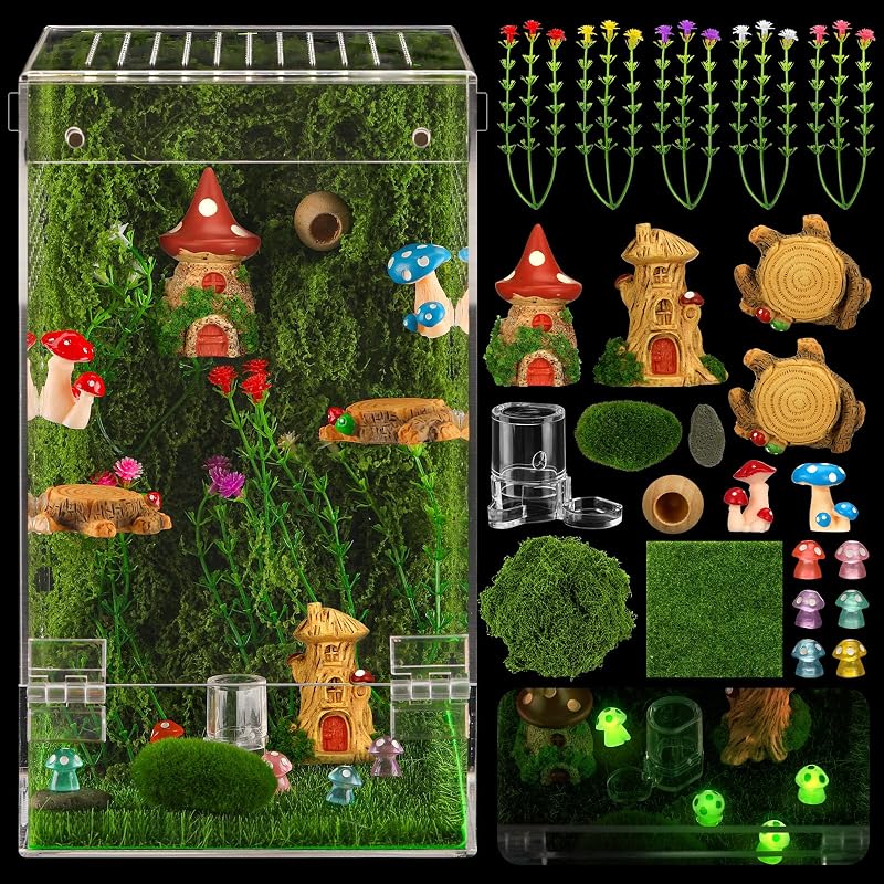 Terrário de Acrílico para Aranha Saltadora Czlotyh com Decoração e Ventilação – Kit Grande