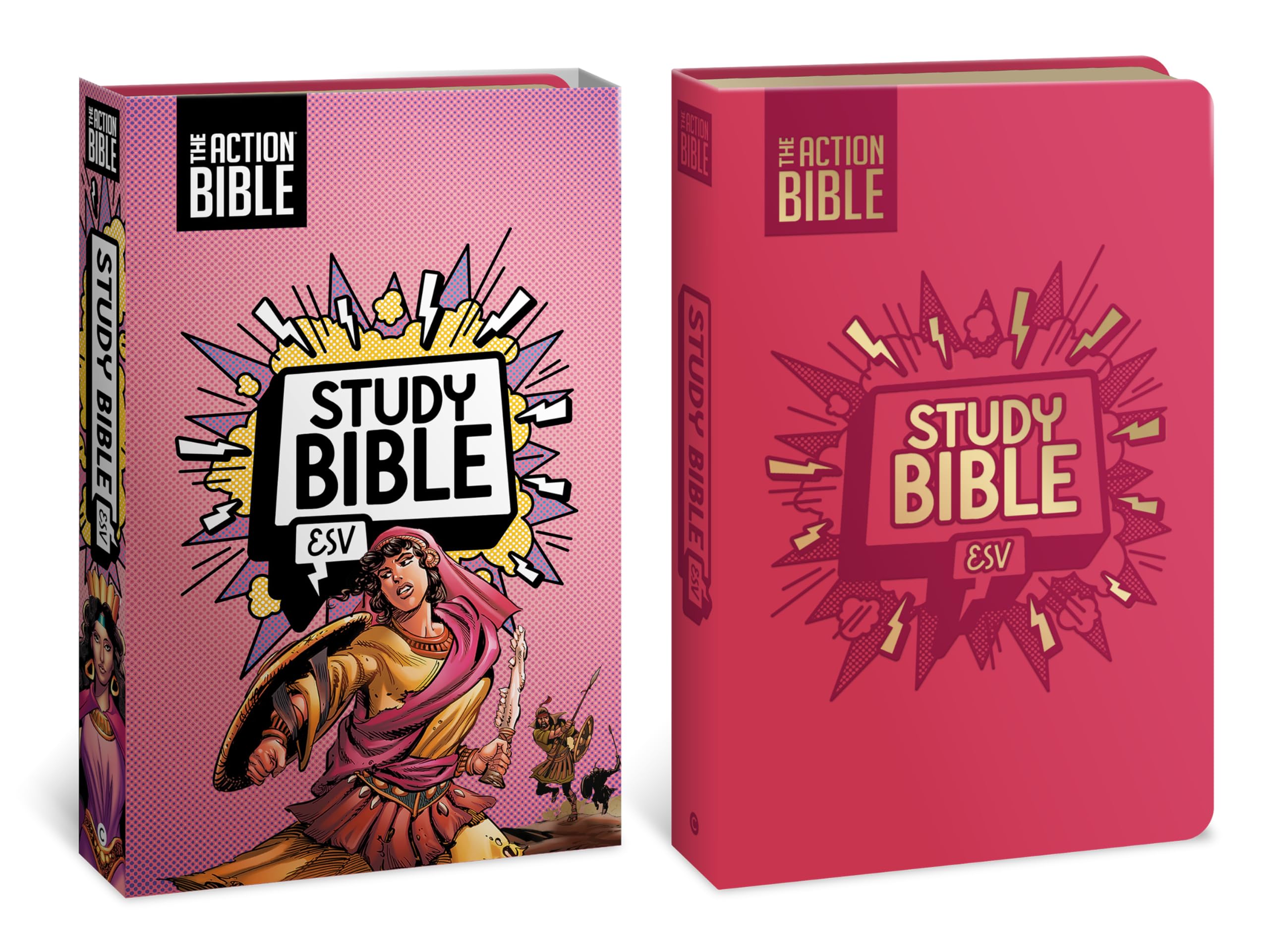 The Action Bible Study Bible Esv, Leathersoft, Pink, Full Color