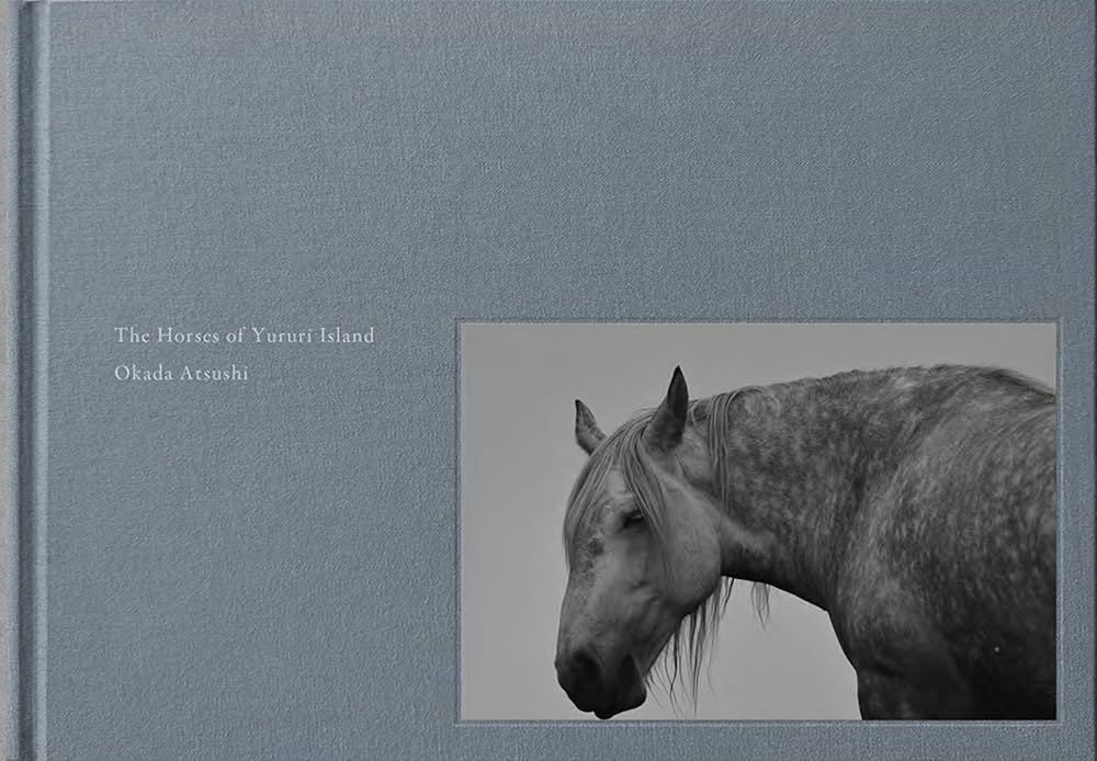 洋書◆馬の写真集 本 キングダム 乗馬 洋書◇馬の写真集 本 キングダム 乗馬 | 洋書堂