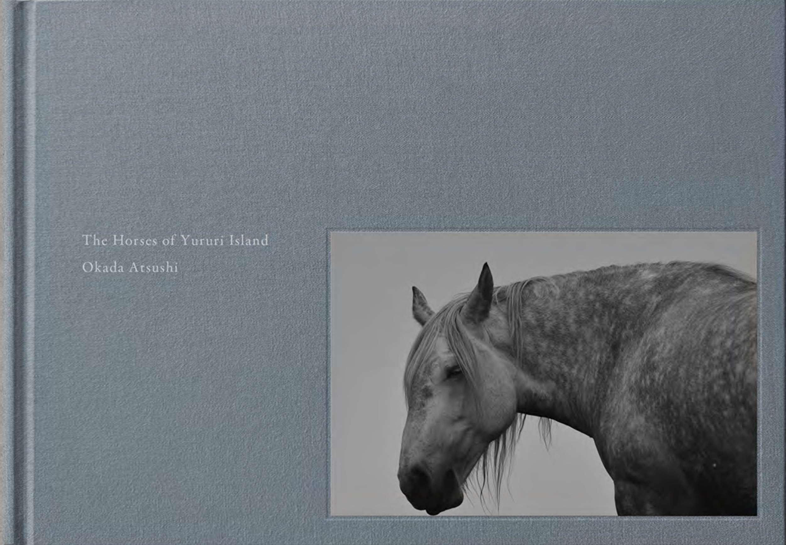 馬のいる景色 The Horses of Yururi Island ユルリ島の馬 | 岡田敦 |本 | 通販