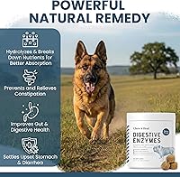 Vista 3 de Probióticos para perros con enzimas digestivas - 120 masticables suaves - Apoya el tracto digestivo saludable, ayuda a la absorción de nutrientes
