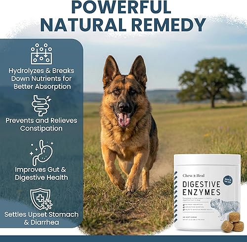 Miniatura 3 de Probióticos para perros con enzimas digestivas - 120 masticables suaves - Apoya el tracto digestivo saludable, ayuda a la absorción de nutrientes