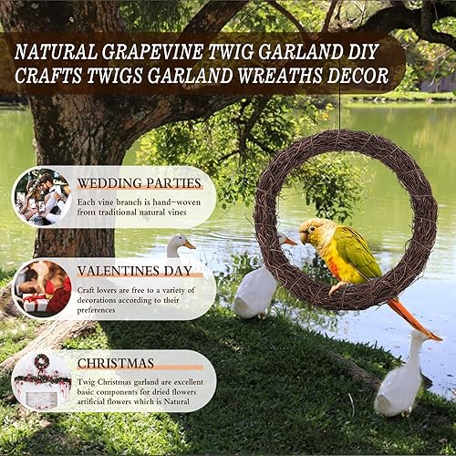 Miniatura 2 de Temfmy Guirnalda de vid natural de 15 pies, manualidades, ramitas de vid naturales, decoración para el hogar, vacaciones, decoración rústica, cesta