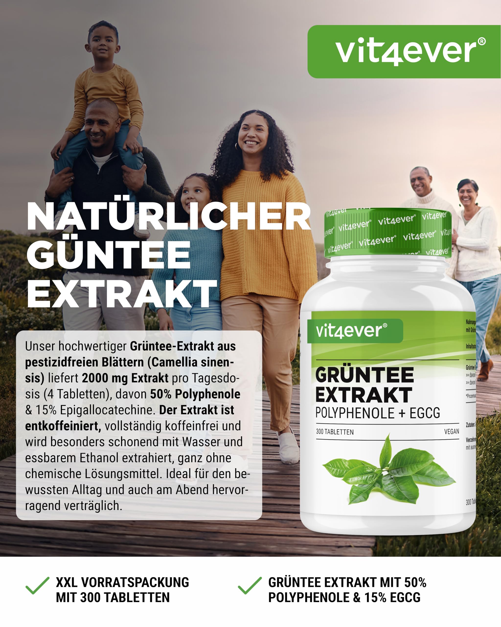 vit4ever Grüntee Extrakt 300 Tabletten - Hochdosiert mit 2000mg Grüner Tee Extrakt, 300 mg EGCG & 1000 mg Polyphenole pro Tagesdosis - Green Tea - Vegan - Ohne unnötige Zusätze