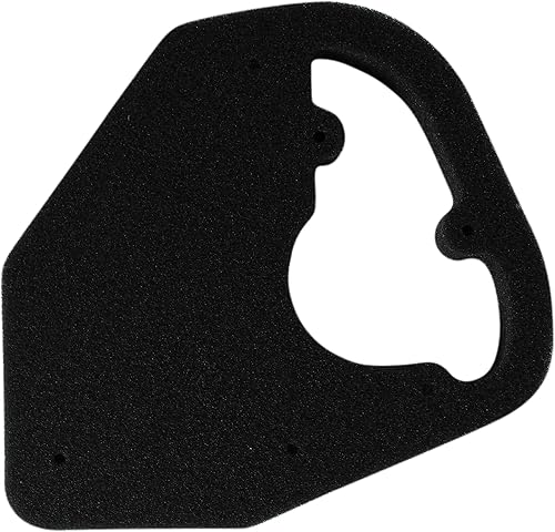 Spree Compatible/Filtro de aire de repuesto para Yamaha TTR110 (2008-2015)