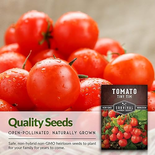 Miniatura 3 de Survival Garden Seeds - Semillas de tomate Tiny Tim para plantar - 2 paquetes con instrucciones para cultivar en el huerto de tu hogar - Variedad de