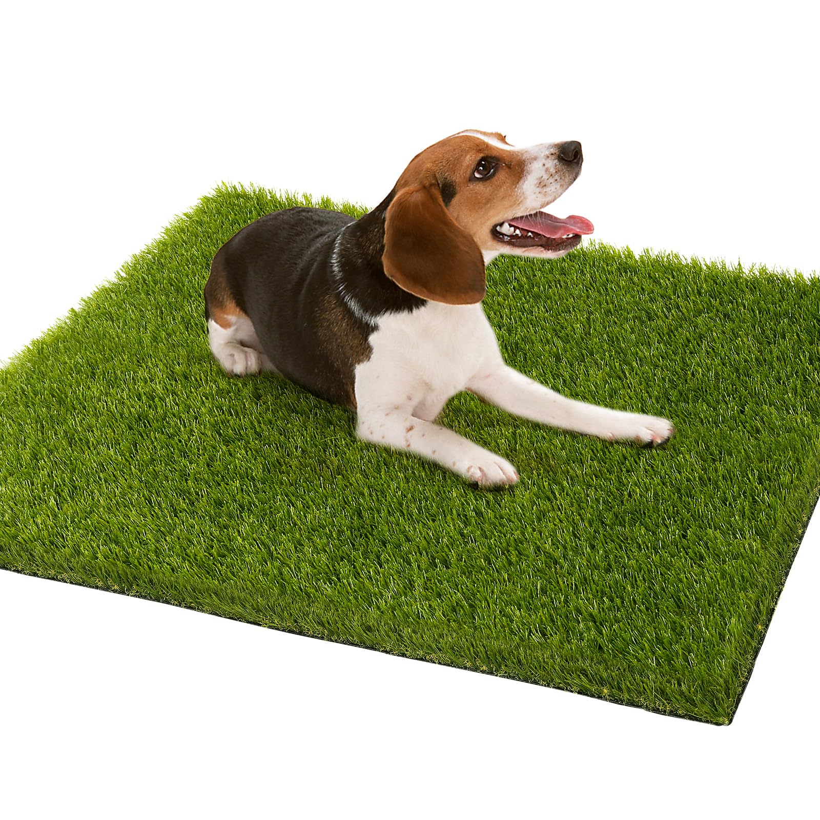 CooRug Erba artificiale, 76 x 43 cm, tappeto erboso artificiale professionale per esterni, per casa, ingresso, patio, giardino, tappeto decorativo