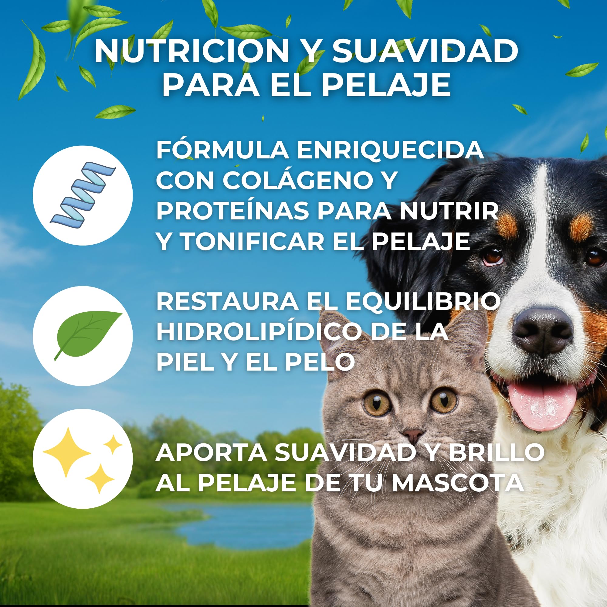 Moly Crema Suavizante Profesional 5 litros para Perros y Gatos | Formato Ahorro para Peluquería Canina | Desenredante con Colágeno | Hidrata Pelo Largo y Denso | Apto para Uso Frecuente