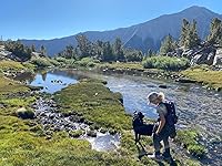 Review Image by GWells