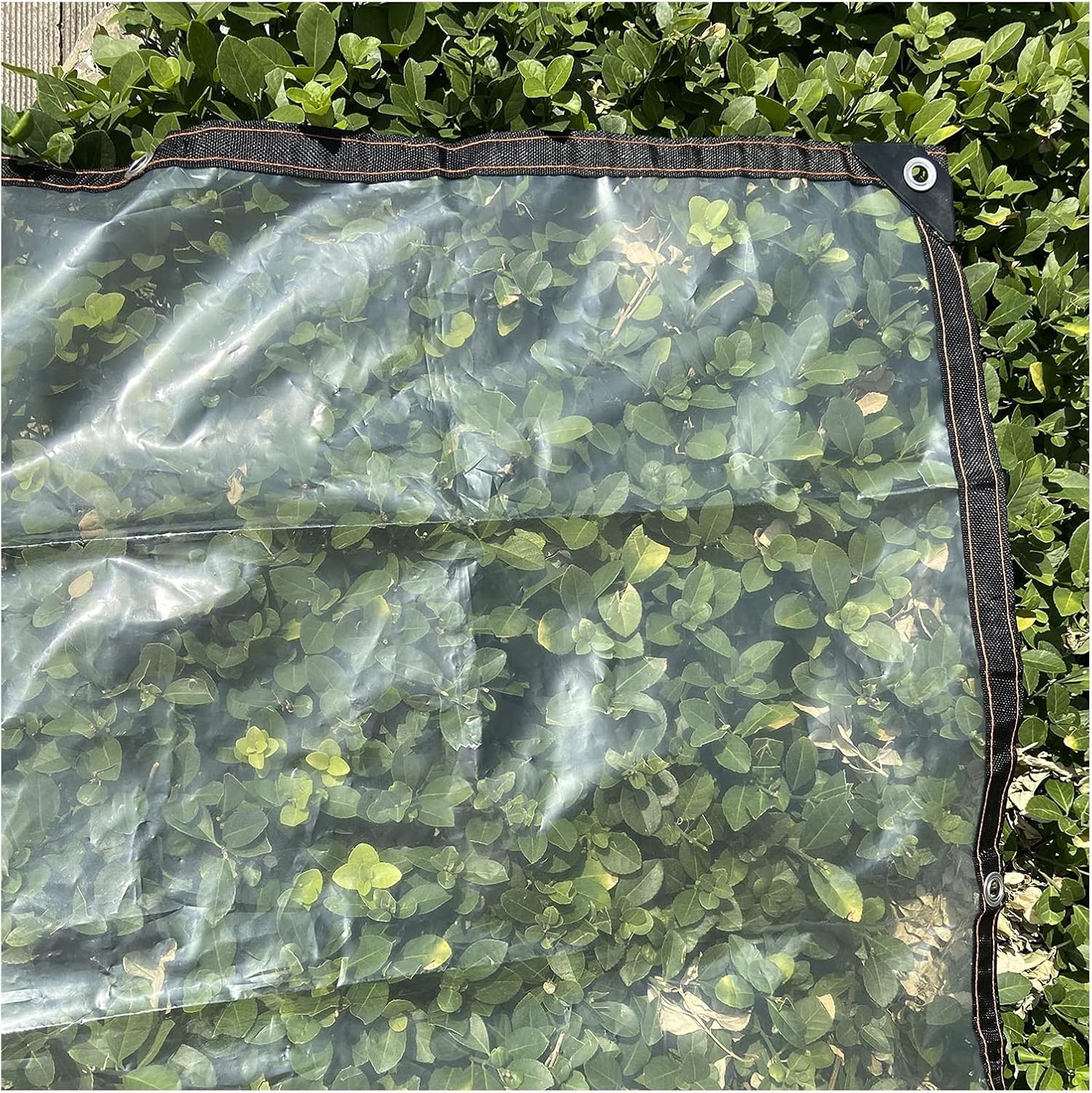 Transparent PE Tarpaulin Waterproof Clear Tarp Cover with Eyelets, Dustproof Tear and Cold Weather Resistant Cover Soft Glass Ground Sheet Camping(2x2m)