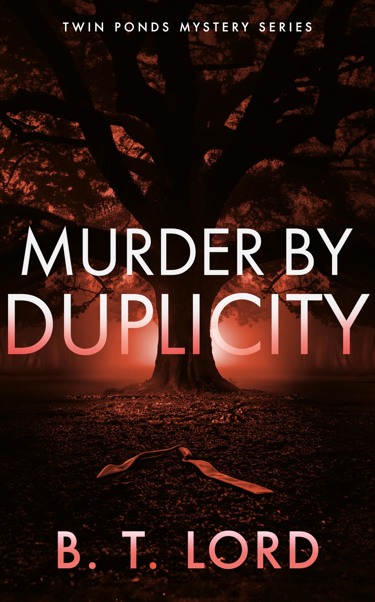Murder By Duplicity: 4 (Twin Ponds Mystery Series)