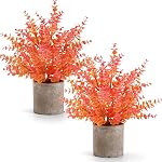 Coferset 2 Pack Petites Plantes Faux Eucalyptus Pots de plantes artificielles pour Bureau de plateau Accueil Salle de bain Ferme Salle de café Table Decor (Sage Green)