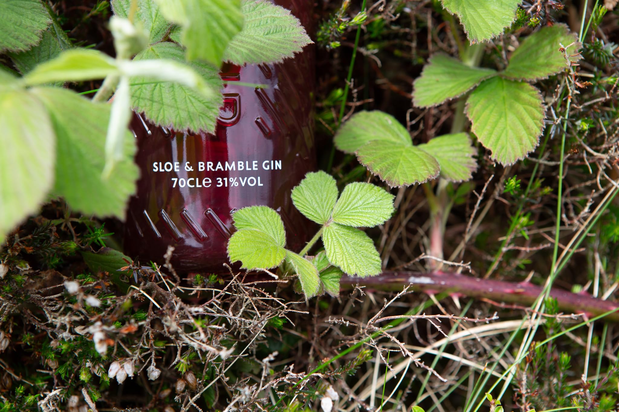Downpour Sloe & Bramble Gin