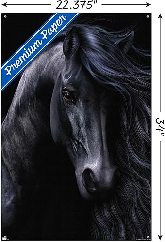 Miniatura 3 de Trends International Laurie Prindle - The Black Wall Poster with Pushpins