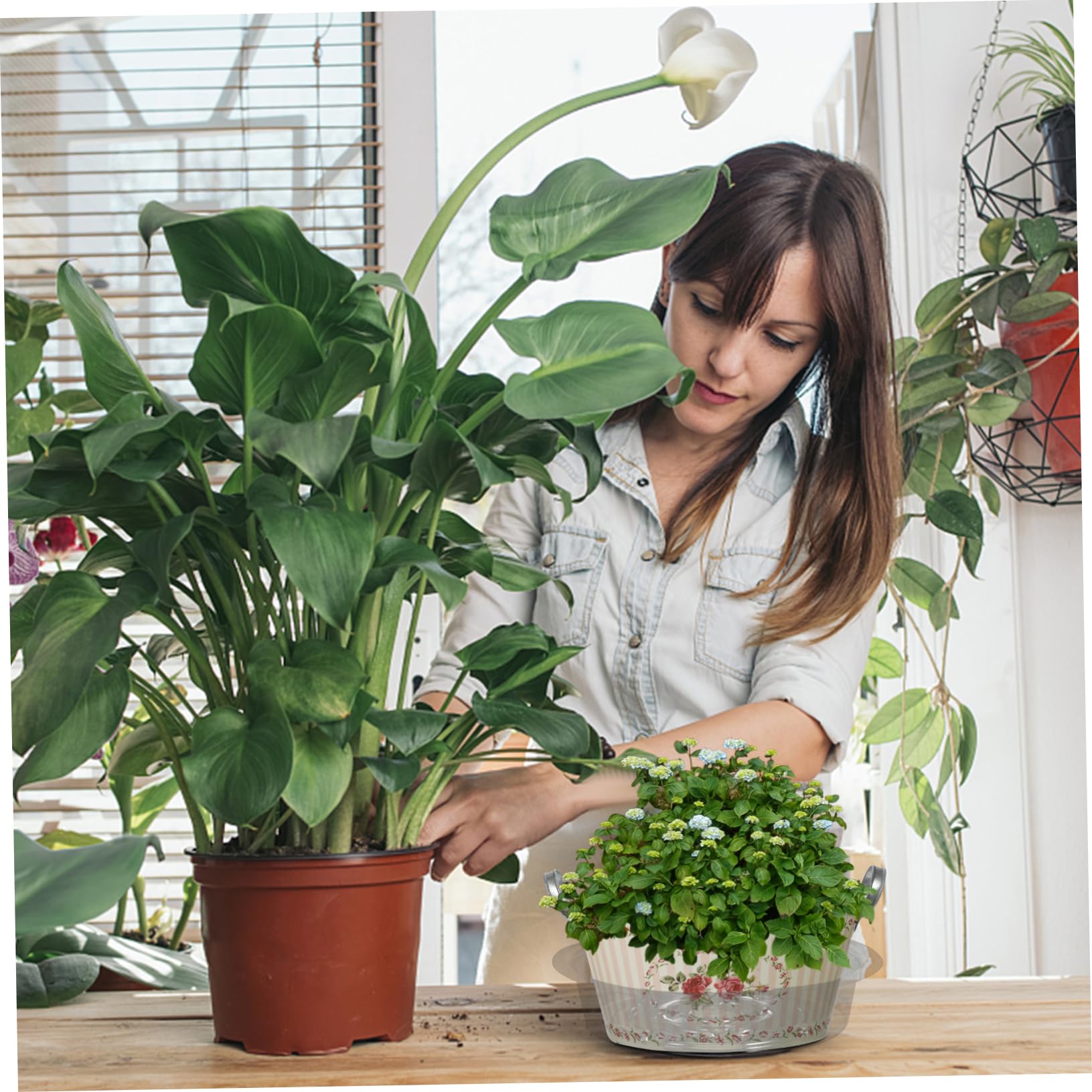 Toddmomy Bandejas para Macetas De Jardín Platos Transparentes para Plantas Recogedores De Agua Drip Tray para Interior Y Exterior 30 Piezas X 5