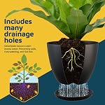 Lifemaster Plant Pots with Multi Drainage Holes - 5 Pieces Versatile, Sturdy Plastic, Stackable Design Home Decor Flower Pots for Indoor and Outdoor Gardening - Black