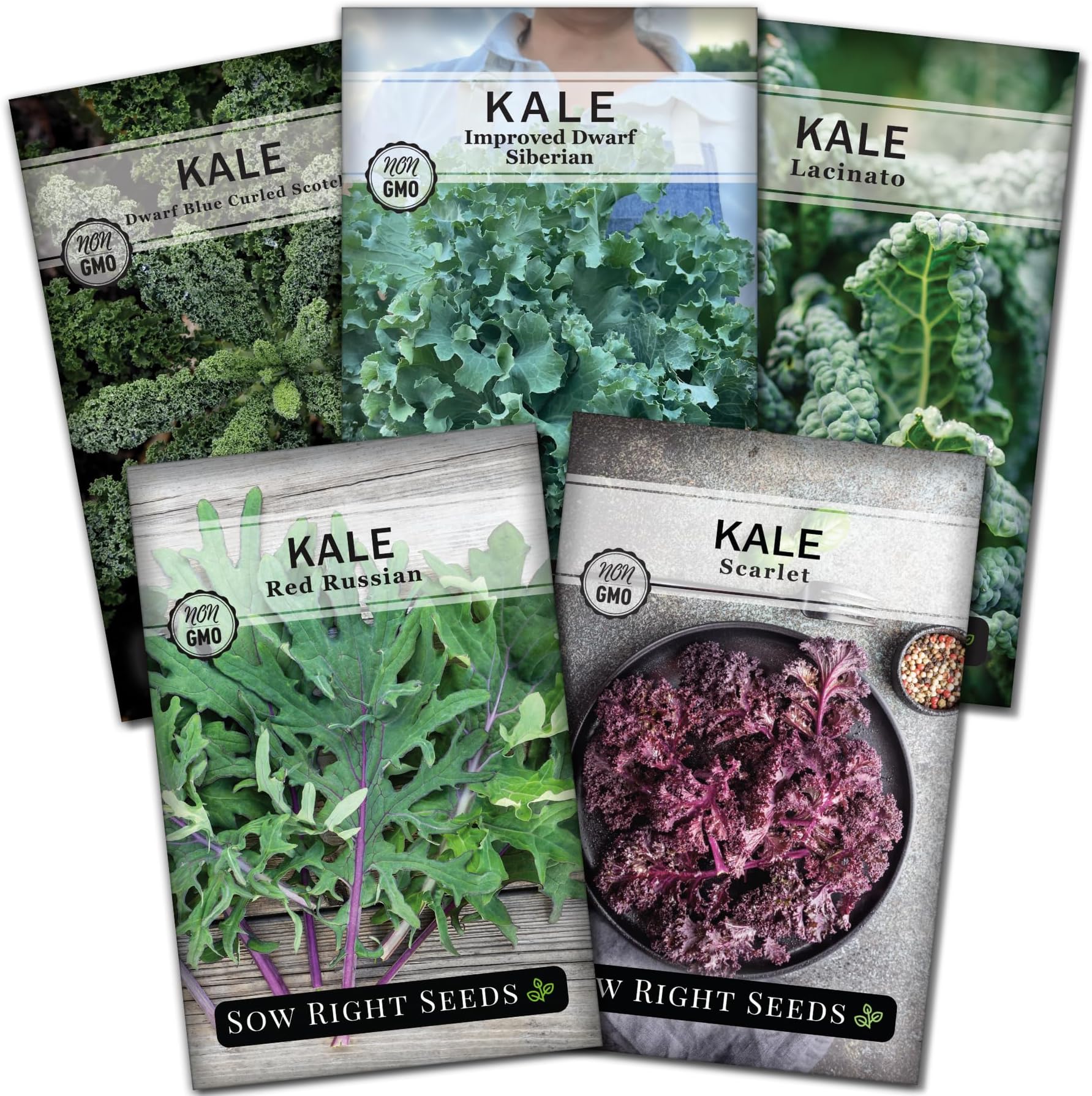 Sow Right Seeds - Kale Seed Collection for Planting - Non-GMO Heirloom Packet with Instructions to Plant and Grow a Home Vegetable Garden, Great Gardening Gift