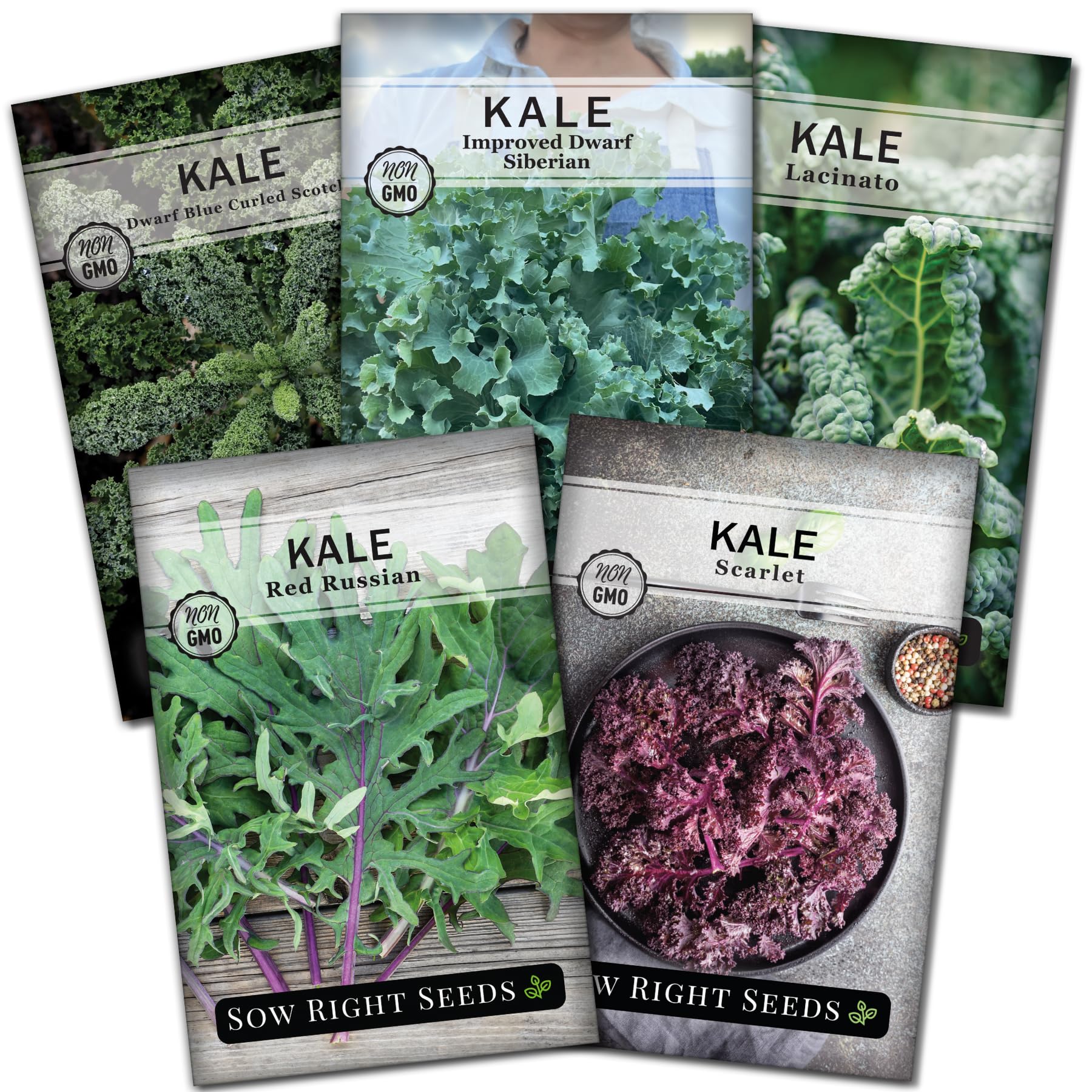 Kale Seed Collection for Planting - Non-GMO Heirloom Packet with Instructions to Plant and Grow a Home Vegetable Garden, Great Gardening Gift