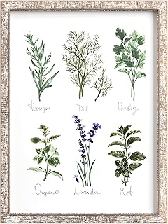 Barnyard Designs Kitchen Herbs and Spices Wall Art Decor Botanical Print...