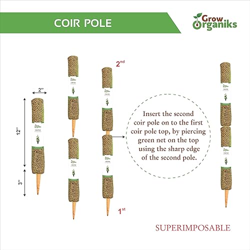 Miniatura 2 de Grow Organiks 2 postes de fibra de coco de 24 pulgadas, poste de tótem de musgo de coco, palo de musgo de coco para enredaderas, extensión de