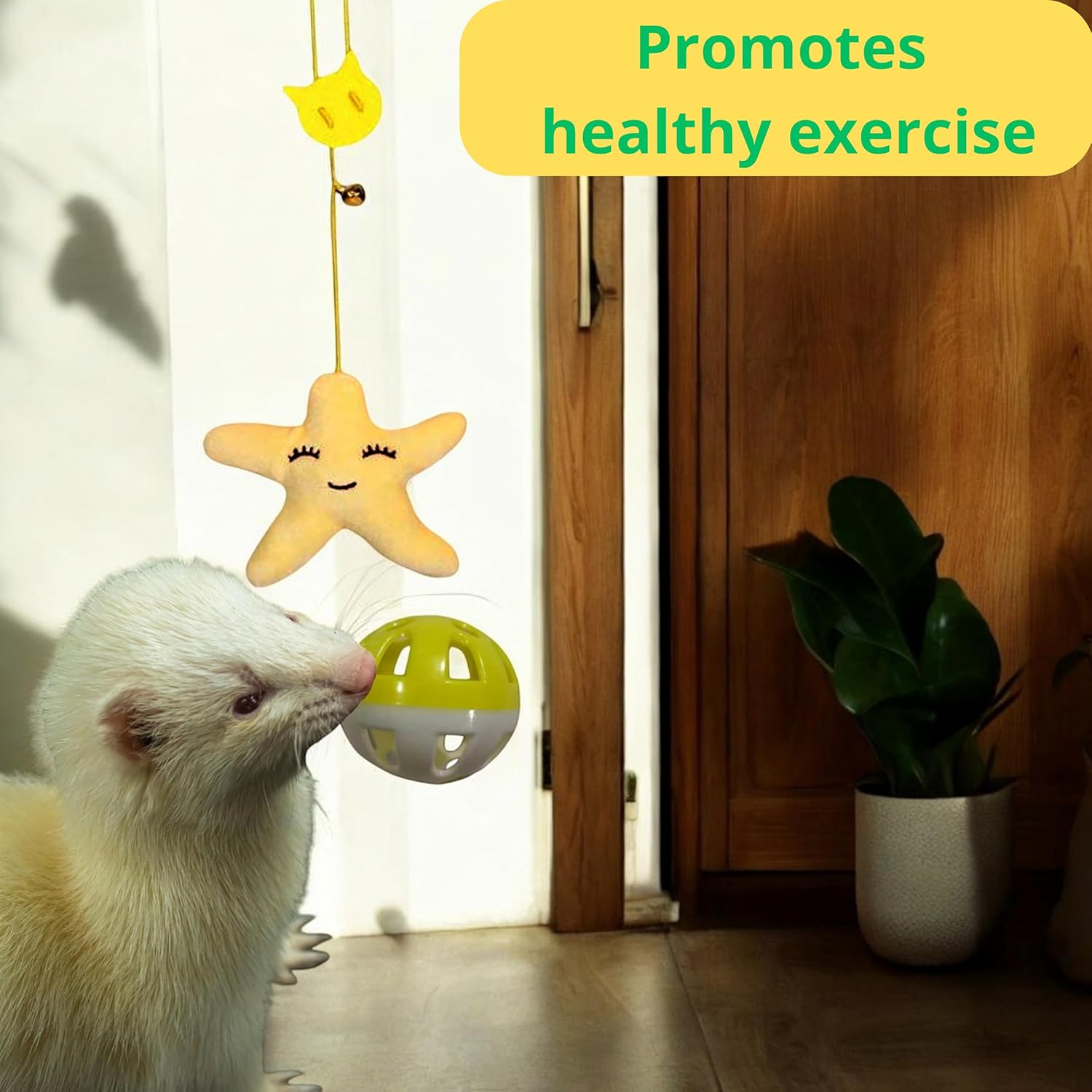 Interactive Bell Ball and Hanging Toy for Ferret, Bahrain Ubuy