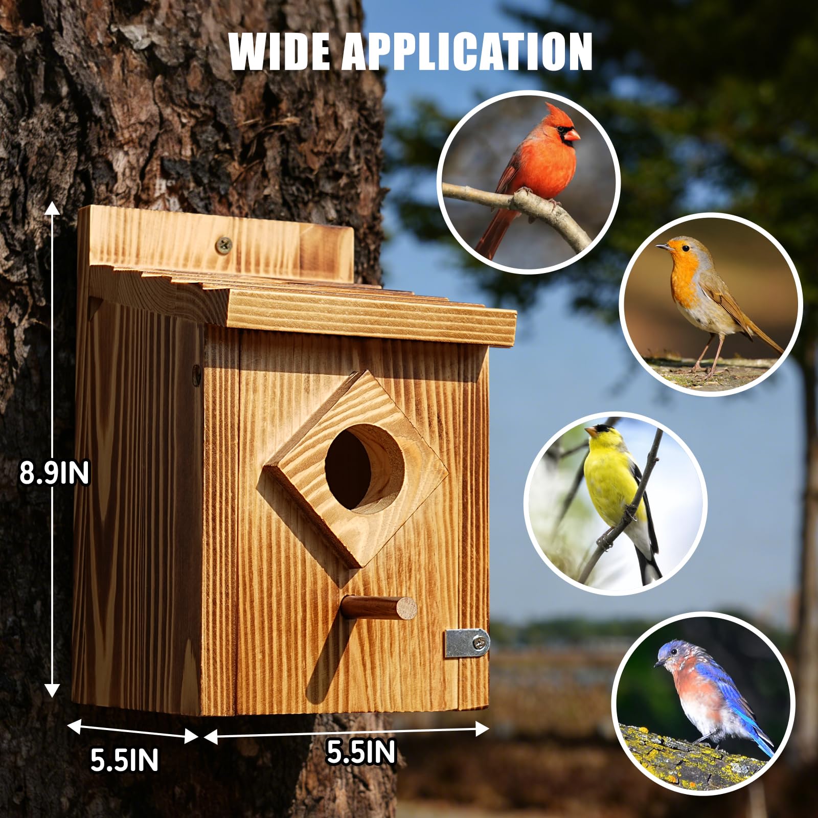 Amazon.com: Waterproof Wooden Blue Bird House, Weather Treated