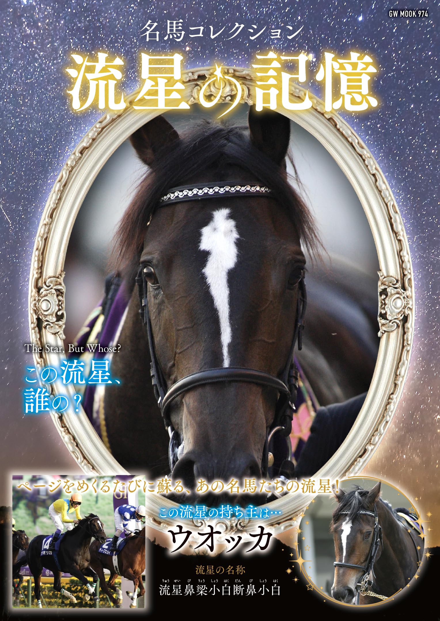 名馬コレクション 流星の記憶 | 競馬王編集部 |本 | 通販 | Amazon