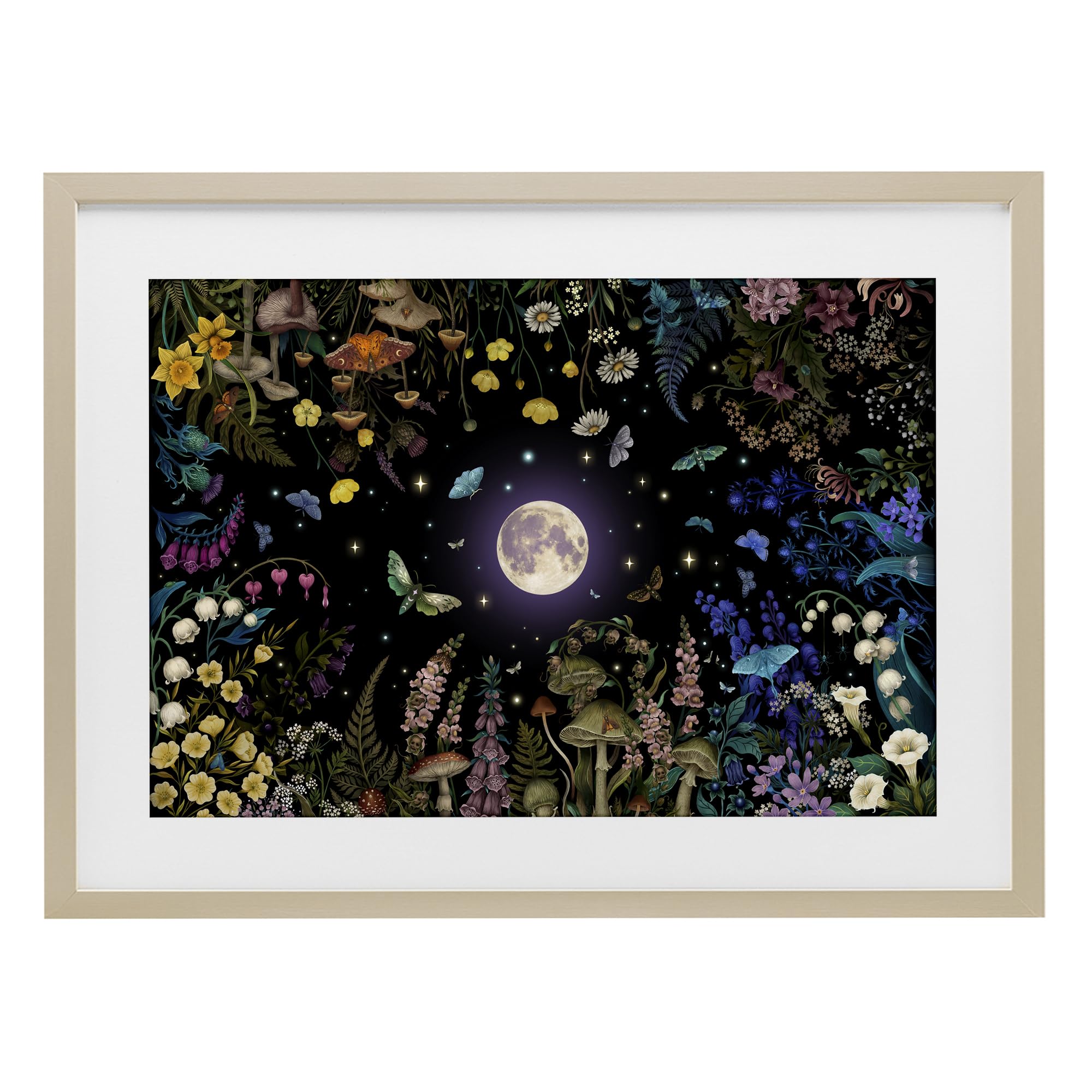 Stupell Industries Harvest Pine (Textured) 'Night Garden With Moth', Framed Print Under Glass, Brown, 23 X 17 Inches, Easy To Hang And Sturdy, Made In Usa, By Episodic Drawings