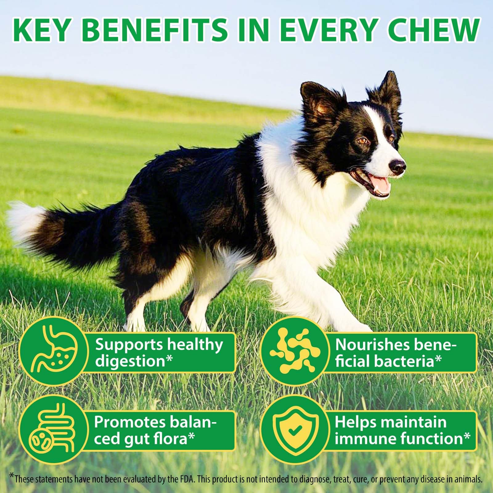 Probiotics for Dogs - 120 Chewable Pre Probiotic Digestive Chews for Dog, Support Gut Health, Itchy Skin Relief and Seasonal Allergies, Dog Supplement Soft Chews, Pet Supplement for Dogs - Duck Flavor