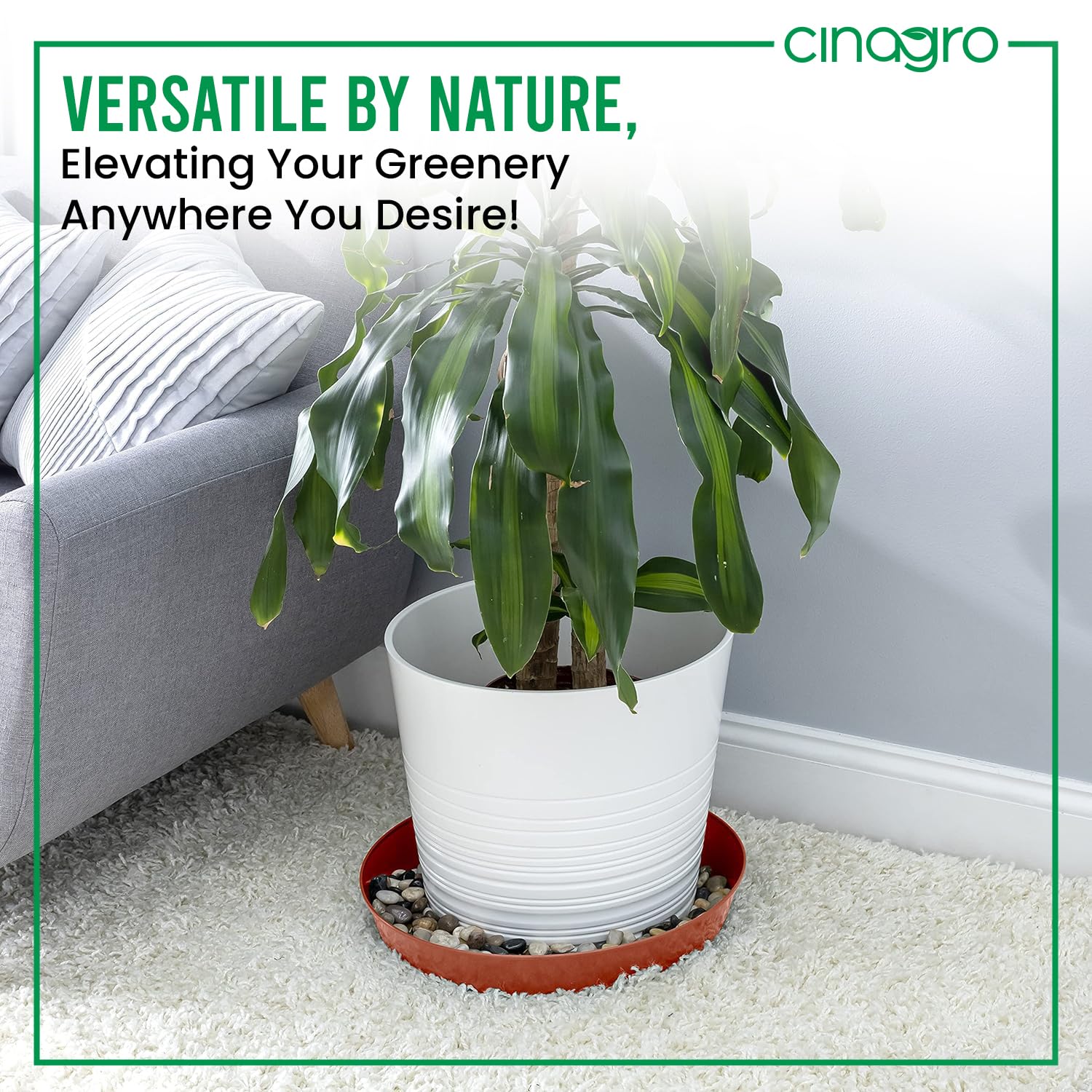 Cinagro Plant Saucer (4 Inch - Pack of 6) Heavy Duty Plastic Plant Water Tray, Planter Drip Trays for Pot, Flower Saucers for Indoors - Image 6 thumbnail