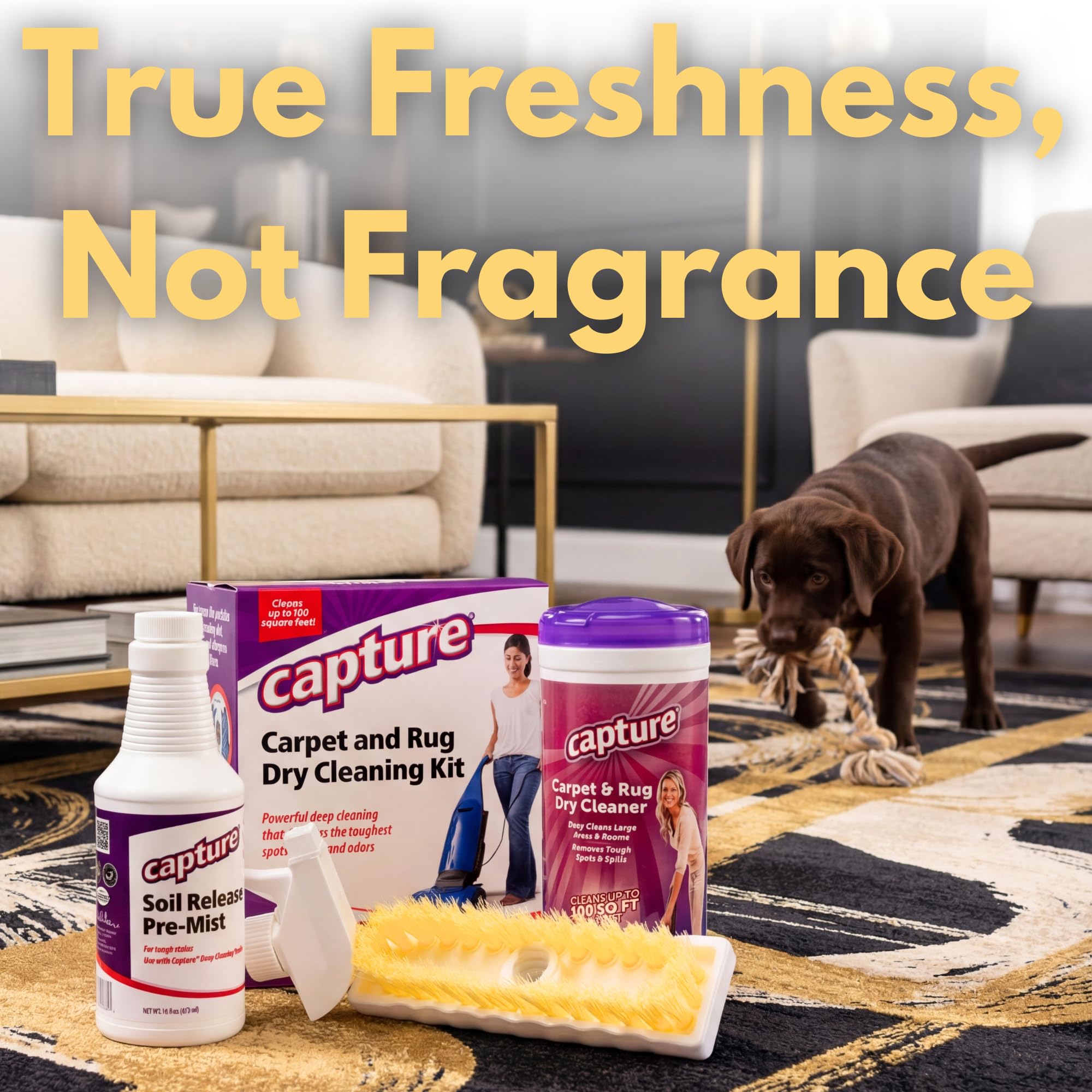 Capture Carpet Total Care Kit 100 - Home Couch and Upholstery, Car Rug, Dogs & Cats Pet Carpet Cleaner Solution - Strength Odor Eliminator, Stains Spot Remover, Non Liquid & No Harsh Chemical