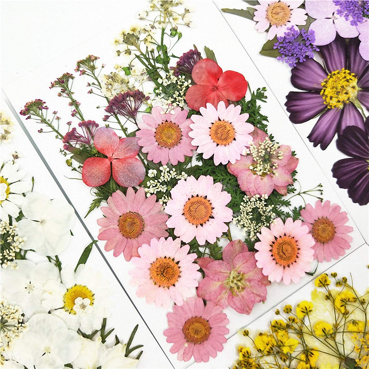 Zonnevangers Met Geperste Bloemen: 8 Knutselwerken Om Met De Wonderen Van De Natuur Je Uit Te Leven
