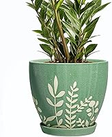 Vista 9 de Maceta de cerámica de 6 pulgadas con platillo - Maceta pequeña para flores con drenaje para suculentas y hierbas, decoración de escritorio boho